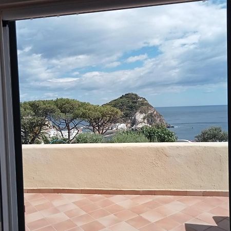 Parco Termale Tropical Bed & Breakfast Ischia Island Eksteriør bilde