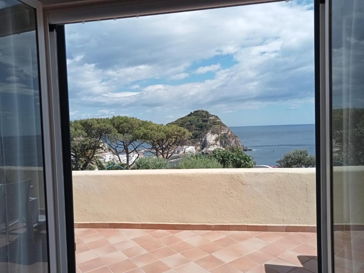 Parco Termale Tropical Bed & Breakfast Ischia Island Eksteriør bilde