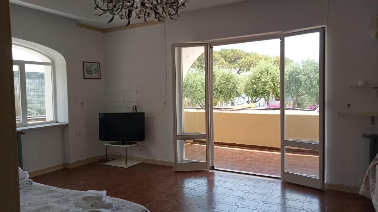 Parco Termale Tropical Bed & Breakfast Ischia Island Eksteriør bilde