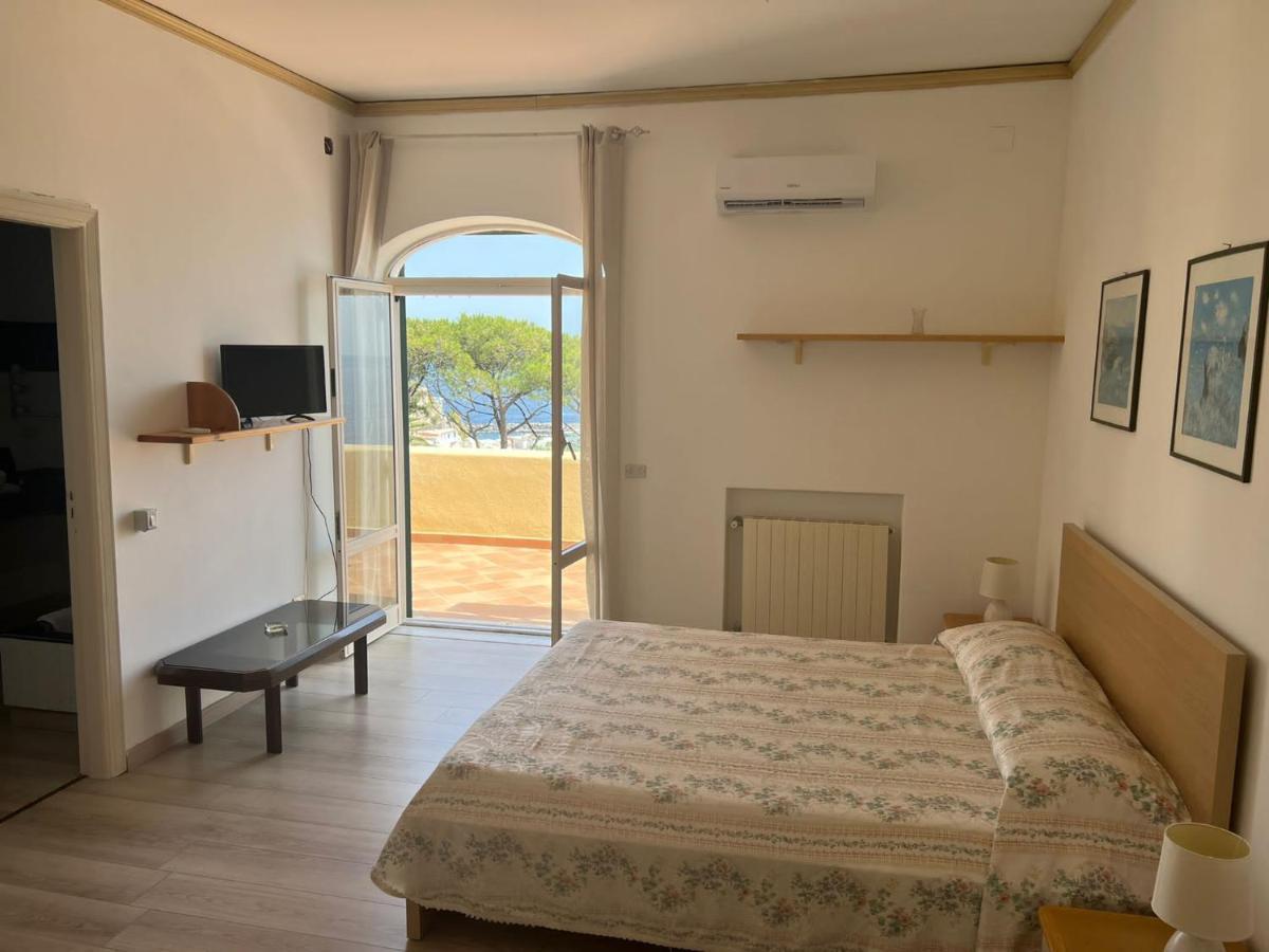 Parco Termale Tropical Bed & Breakfast Ischia Island Eksteriør bilde