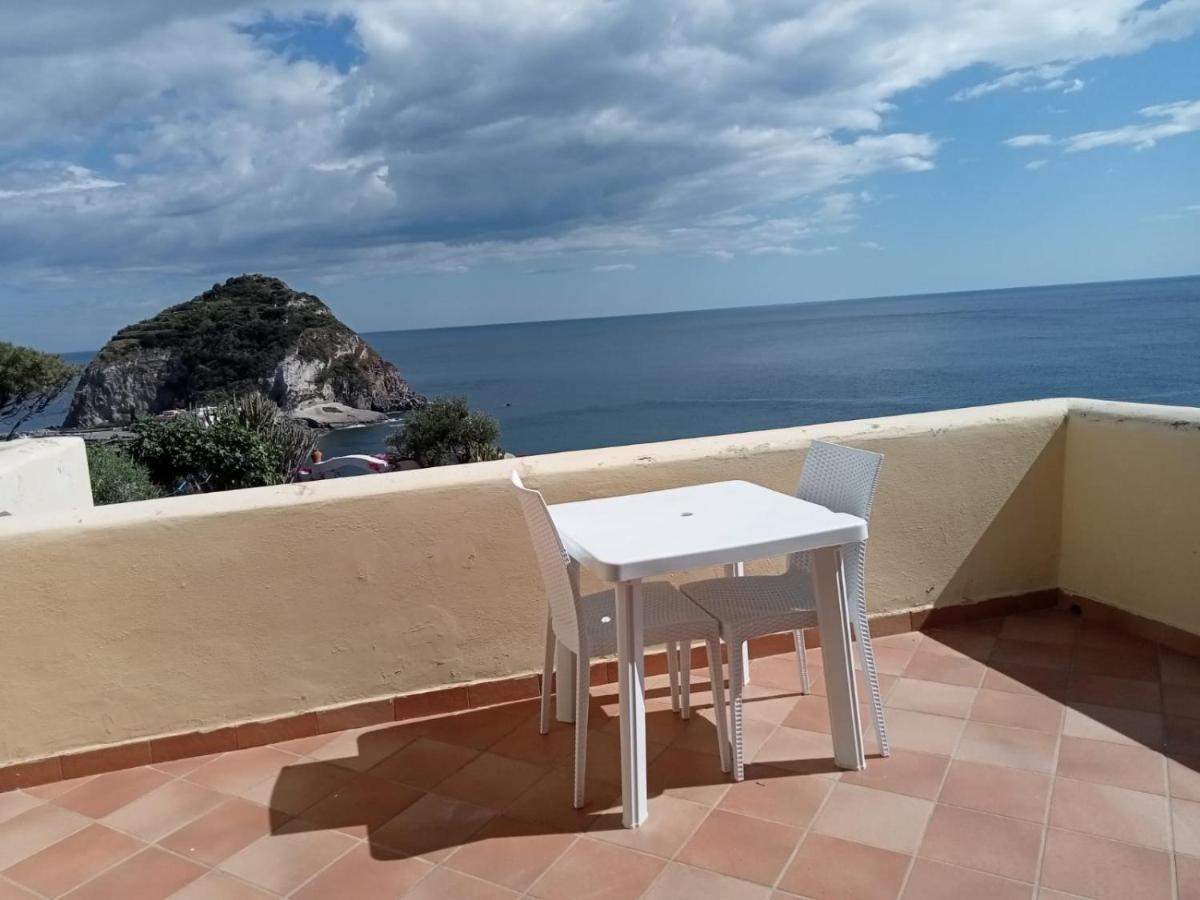 Parco Termale Tropical Bed & Breakfast Ischia Island Eksteriør bilde