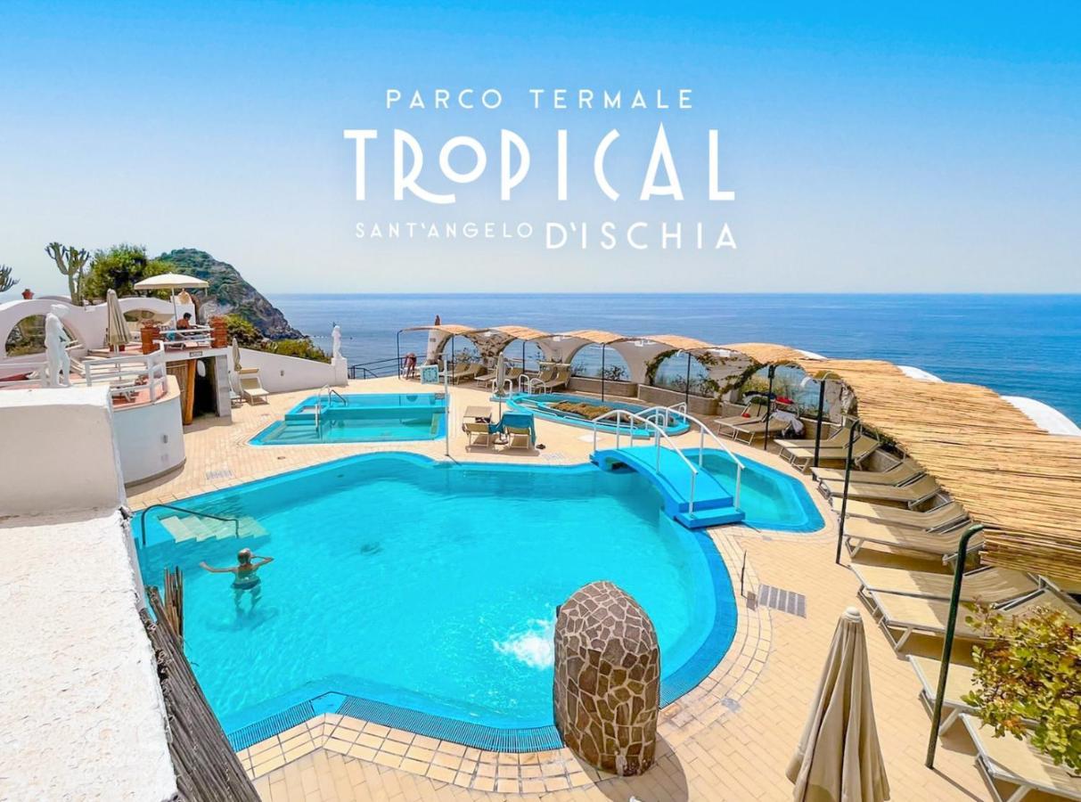Parco Termale Tropical Bed & Breakfast Ischia Island Eksteriør bilde